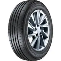 Časově Omezené Sunny NP226 195/65 R15 95H